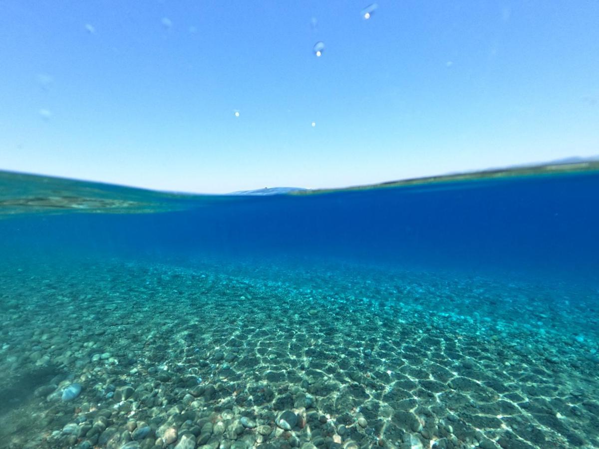 Ktima Tzaneti - Coastal Farmhouse ラクハニア エクステリア 写真